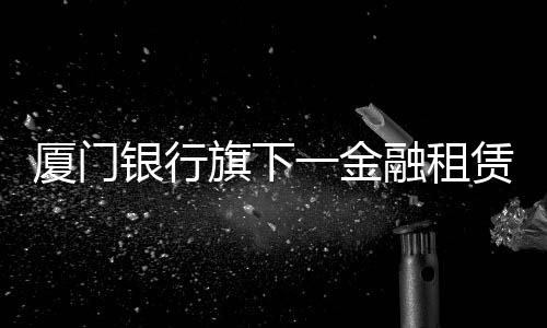 【】金融由厦门银行发起和控股
