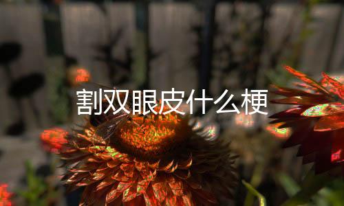 【】单眼皮就是上眼皮是单层的