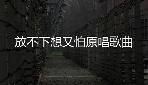 【】我们努力的又怕原唱寻找着