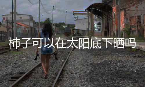 【】柿可晒柿子为柿科柿属植物