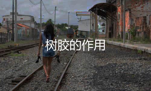 【】食品、树胶由落叶松属