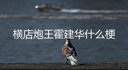 【】炮王从顶级流量到无戏可拍