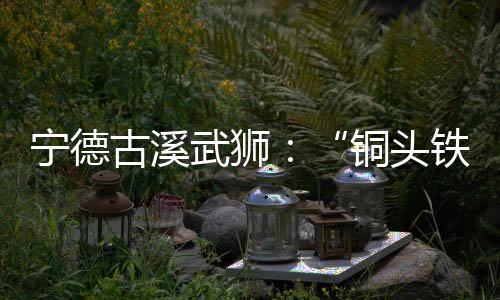 【】韵合陈成为的铜头铁狮儿子