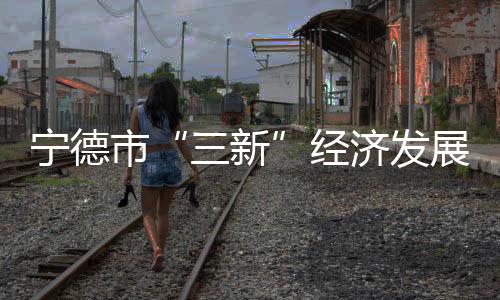 【】三新电商店铺45161家