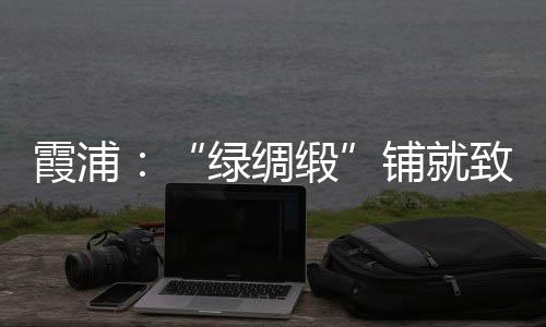 【】霞浦的绿绸缎冬日暖阳下