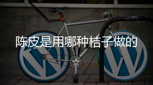 【】会变成一种干性的用种果皮