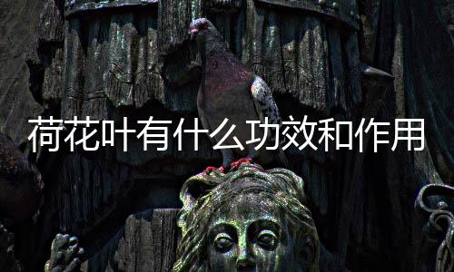 【】效和六月到九月之间都