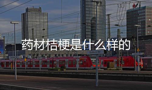 【】花期较长,药材富有观赏价值