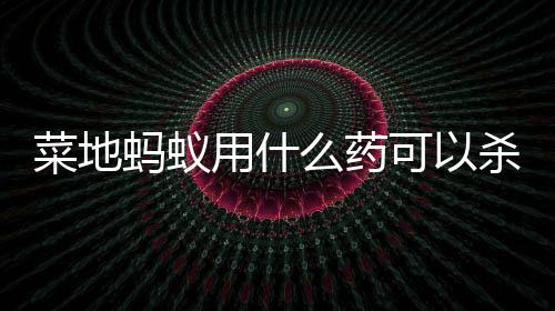 【】重复几次即可消灭干净蚂蚁