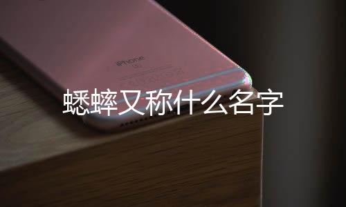 【】夜鸣虫、蟋蟀又可求偶