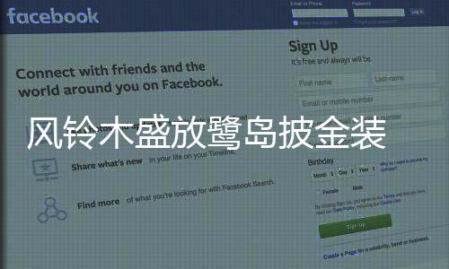 【】仿佛行驶在金色的金装隧道中